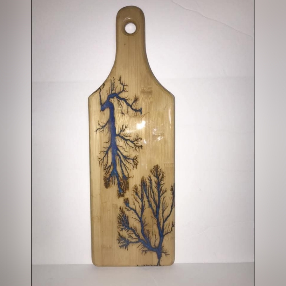 Fractal Burned Wooden Paddle Wall Decor